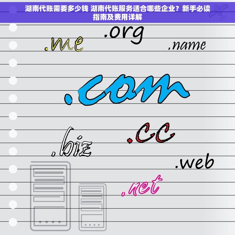 湖南代账需要多少钱 湖南代账服务适合哪些企业？新手必读指南及费用详解
