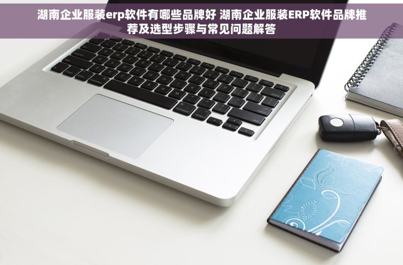 湖南企业服装erp软件有哪些品牌好 湖南企业服装ERP软件品牌推荐及选型步骤与常见问题解答