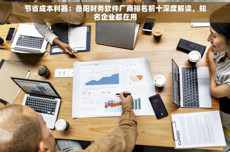 节省成本利器：岳阳财务软件厂商排名前十深度解读，知名企业都在用