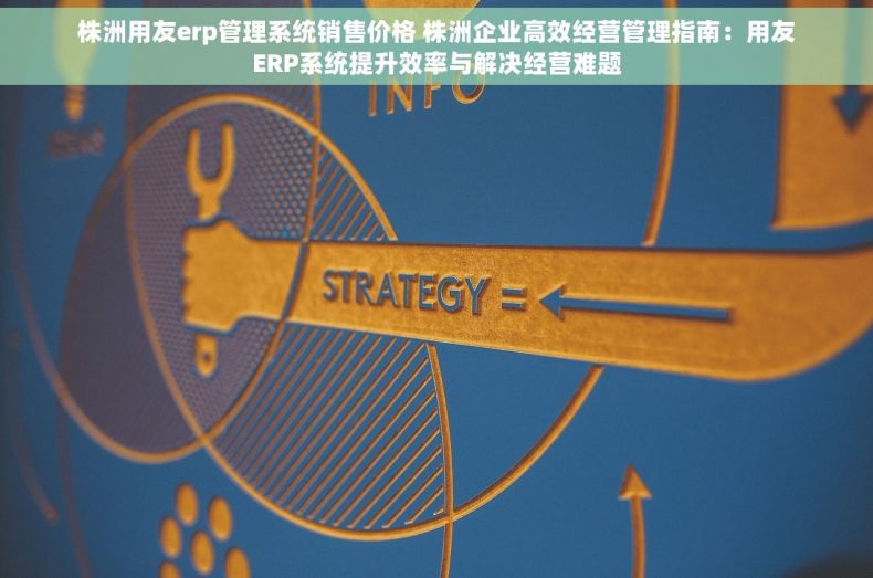 株洲用友erp管理系统销售价格 株洲企业高效经营管理指南：用友ERP系统提升效率与解决经营难题