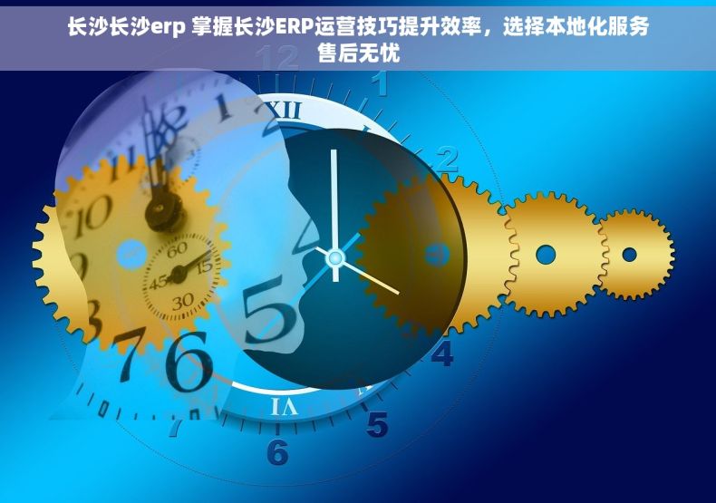 长沙长沙erp 掌握长沙ERP运营技巧提升效率，选择本地化服务售后无忧