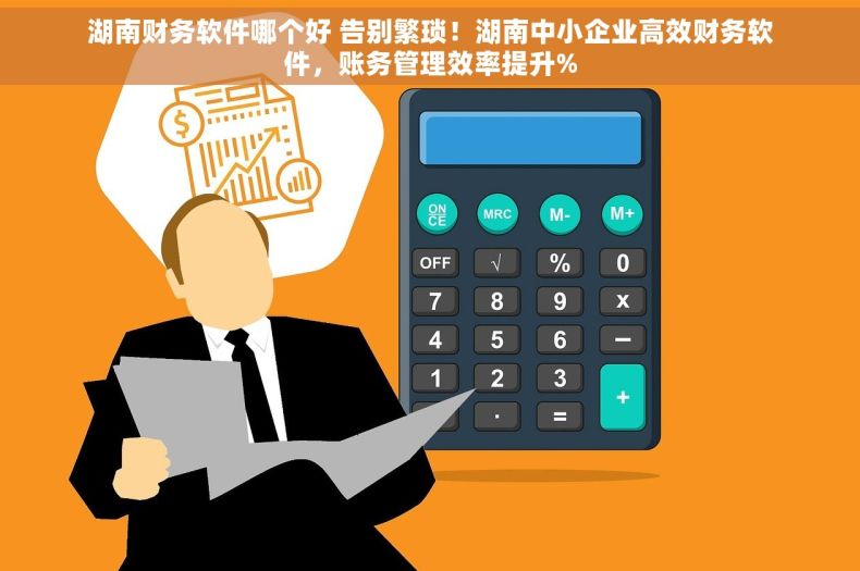 湖南财务软件哪个好 告别繁琐！湖南中小企业高效财务软件，账务管理效率提升%