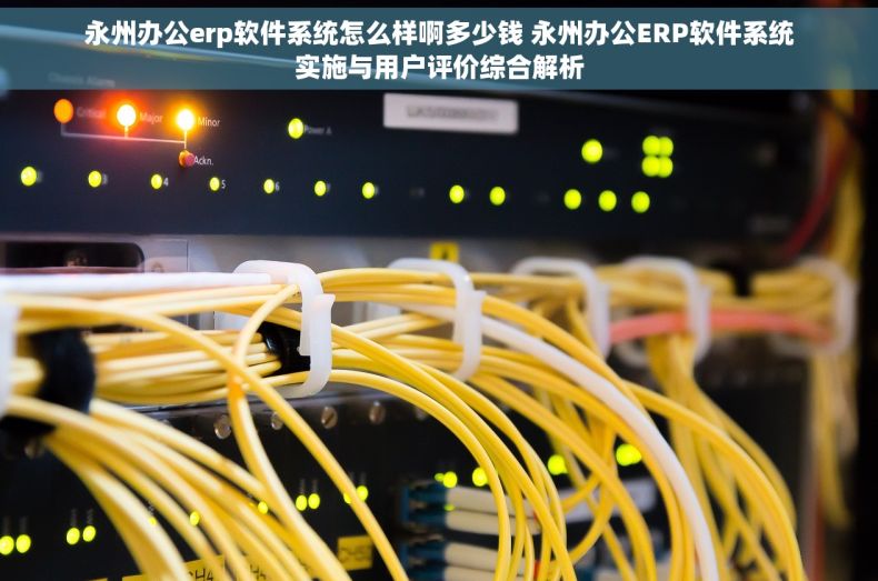 永州办公erp软件系统怎么样啊多少钱 永州办公ERP软件系统实施与用户评价综合解析