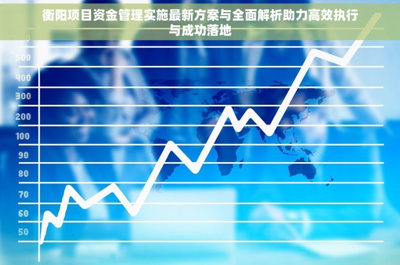 衡阳项目资金管理实施最新方案与全面解析助力高效执行与成功落地