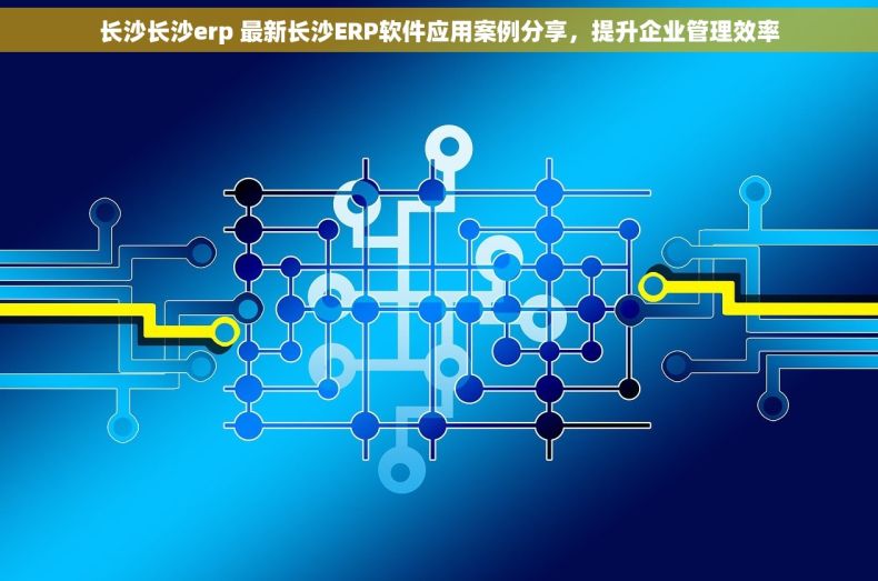长沙长沙erp 最新长沙ERP软件应用案例分享，提升企业管理效率