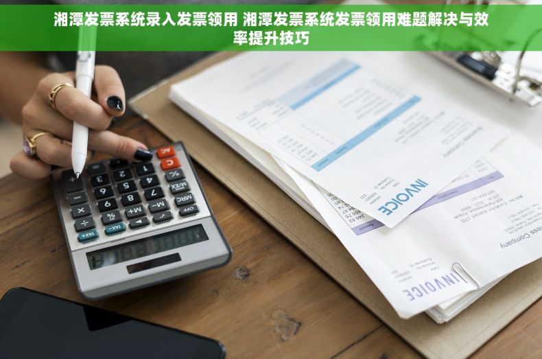 湘潭发票系统录入发票领用 湘潭发票系统发票领用难题解决与效率提升技巧
