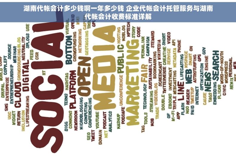 湖南代帐会计多少钱啊一年多少钱 企业代帐会计托管服务与湖南代帐会计收费标准详解