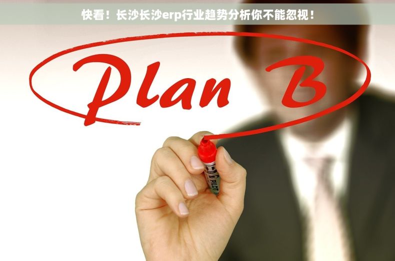 快看！长沙长沙erp行业趋势分析你不能忽视！
