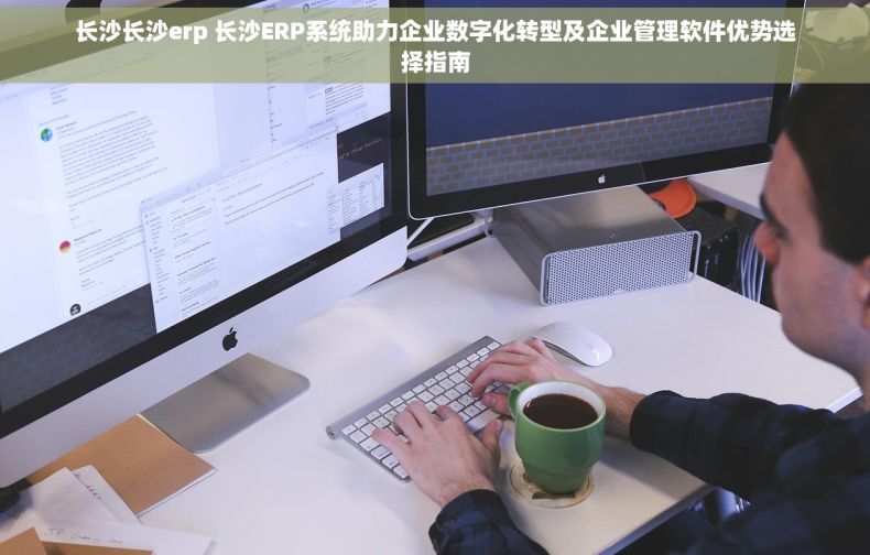 长沙长沙erp 长沙ERP系统助力企业数字化转型及企业管理软件优势选择指南