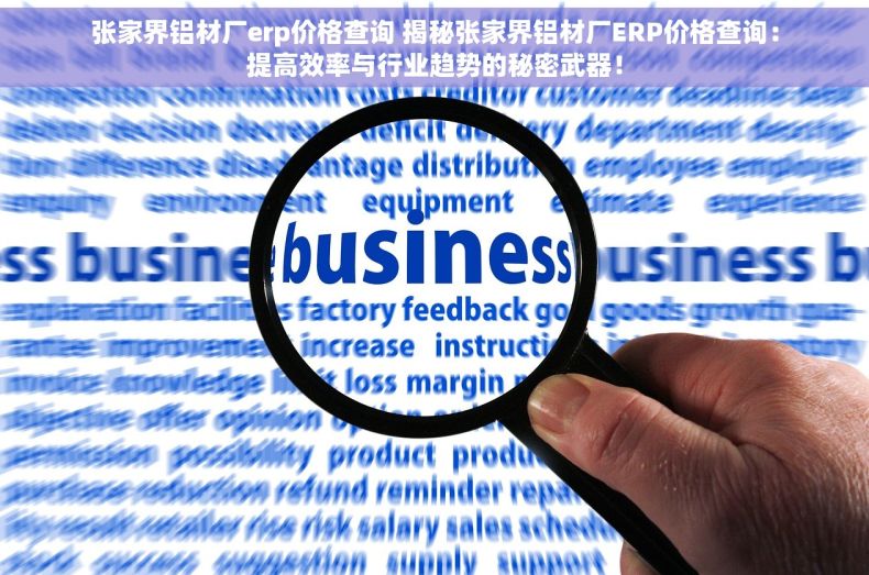 张家界铝材厂erp价格查询 揭秘张家界铝材厂ERP价格查询：提高效率与行业趋势的秘密武器！