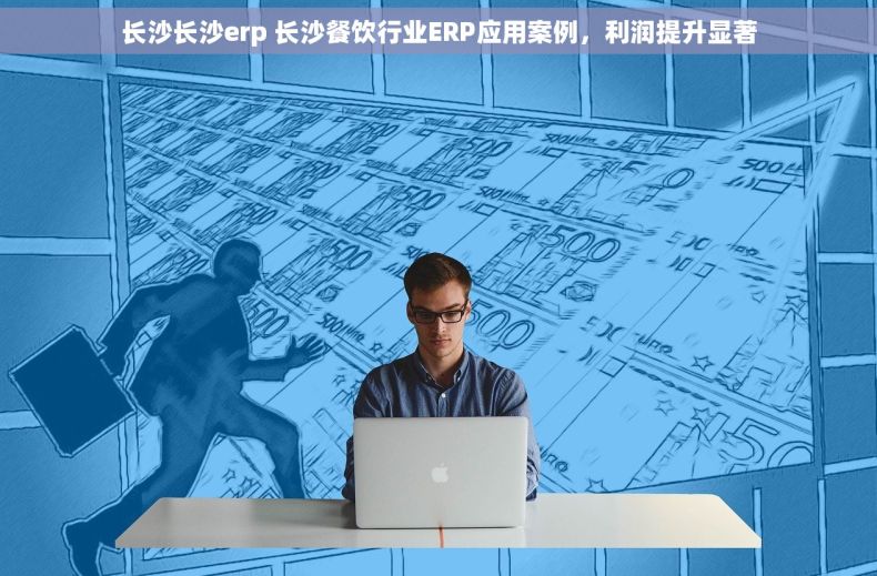 长沙长沙erp 长沙餐饮行业ERP应用案例，利润提升显著