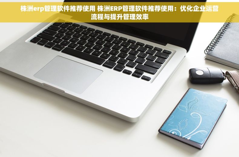 株洲erp管理软件推荐使用 株洲ERP管理软件推荐使用：优化企业运营流程与提升管理效率