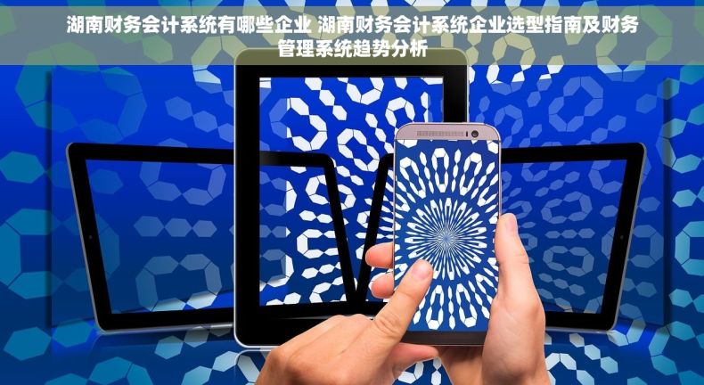 湖南财务会计系统有哪些企业 湖南财务会计系统企业选型指南及财务管理系统趋势分析