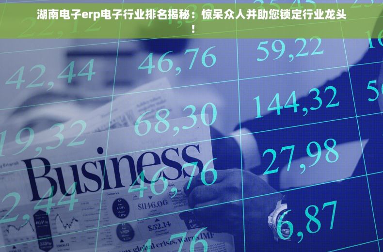 湖南电子erp电子行业排名揭秘：惊呆众人并助您锁定行业龙头！