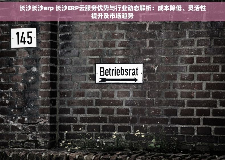 长沙长沙erp 长沙ERP云服务优势与行业动态解析：成本降低、灵活性提升及市场趋势