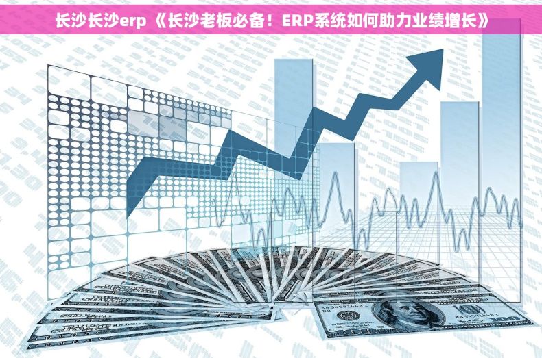 长沙长沙erp 《长沙老板必备！ERP系统如何助力业绩增长》