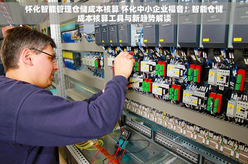 怀化智能管理仓储成本核算 怀化中小企业福音！智能仓储成本核算工具与新趋势解读