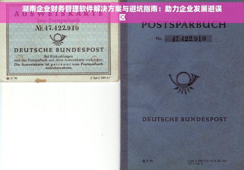 湖南企业财务管理软件解决方案与避坑指南：助力企业发展避误区