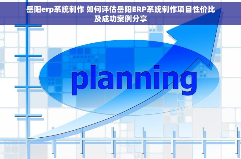 岳阳erp系统制作 如何评估岳阳ERP系统制作项目性价比及成功案例分享