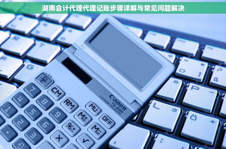 湖南会计代理代理记账步骤详解与常见问题解决