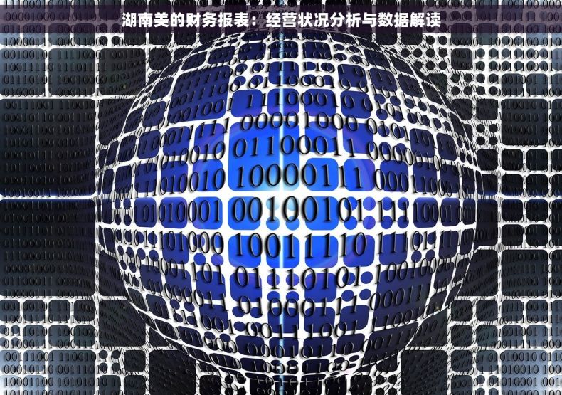 湖南美的财务报表：经营状况分析与数据解读
