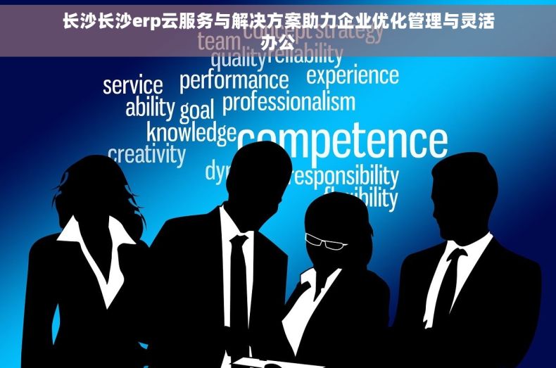 长沙长沙erp云服务与解决方案助力企业优化管理与灵活办公