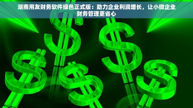 湖南用友财务软件绿色正式版：助力企业利润增长，让小微企业财务管理更省心