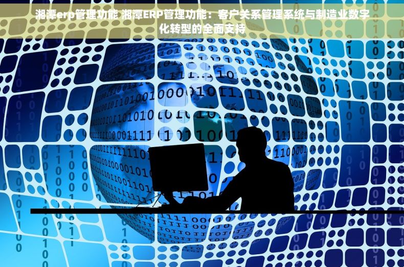 湘潭erp管理功能 湘潭ERP管理功能：客户关系管理系统与制造业数字化转型的全面支持
