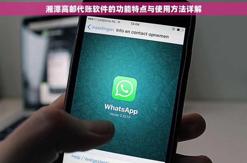 湘潭高邮代账软件的功能特点与使用方法详解