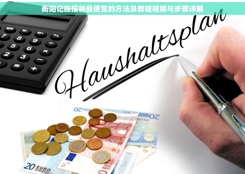 衡阳记账报税最便宜的方法及教程视频与步骤详解