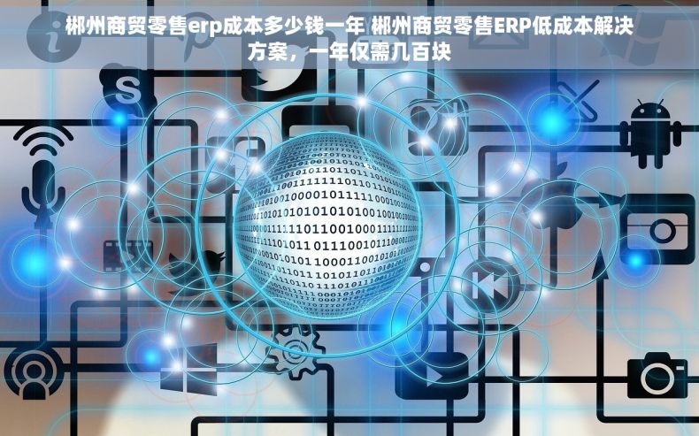 郴州商贸零售erp成本多少钱一年 郴州商贸零售ERP低成本解决方案，一年仅需几百块