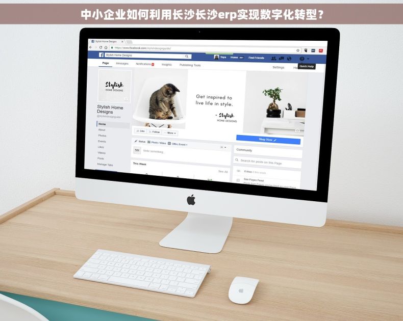 中小企业如何利用长沙长沙erp实现数字化转型？