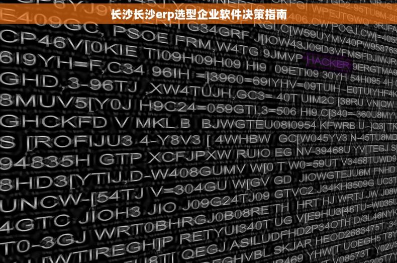 长沙长沙erp选型企业软件决策指南