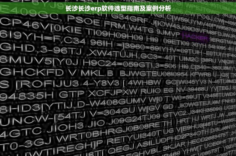 长沙长沙erp软件选型指南及案例分析