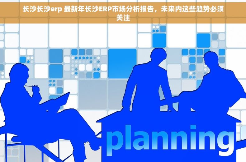 长沙长沙erp 最新年长沙ERP市场分析报告，未来内这些趋势必须关注