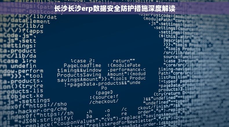 长沙长沙erp数据安全防护措施深度解读