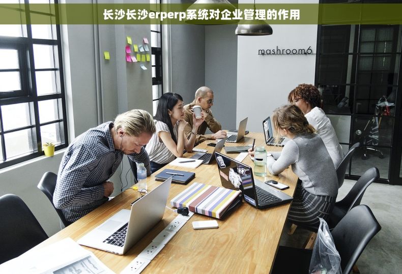 长沙长沙erperp系统对企业管理的作用