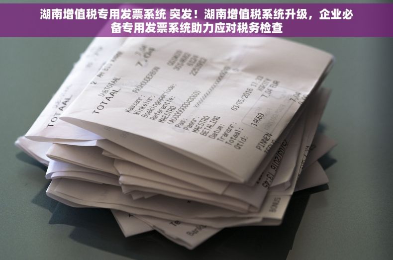 湖南增值税专用发票系统 突发！湖南增值税系统升级，企业必备专用发票系统助力应对税务检查