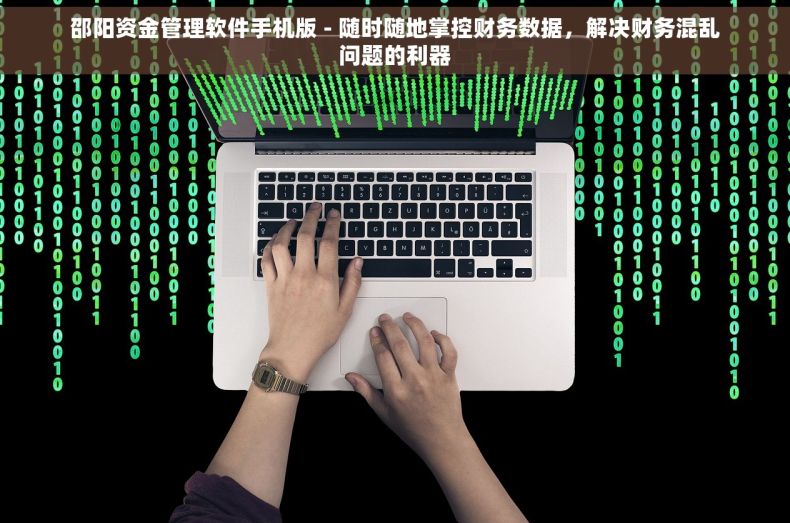 邵阳资金管理软件手机版 - 随时随地掌控财务数据，解决财务混乱问题的利器