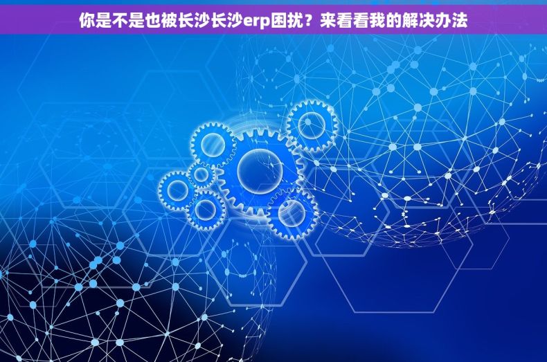 你是不是也被长沙长沙erp困扰？来看看我的解决办法