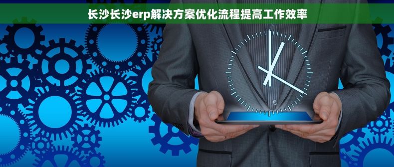长沙长沙erp解决方案优化流程提高工作效率
