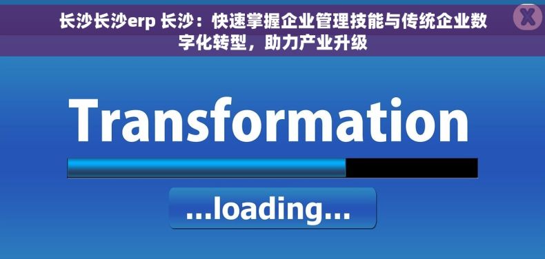 长沙长沙erp 长沙：快速掌握企业管理技能与传统企业数字化转型，助力产业升级