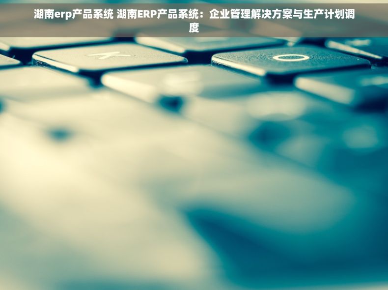 湖南erp产品系统 湖南ERP产品系统：企业管理解决方案与生产计划调度