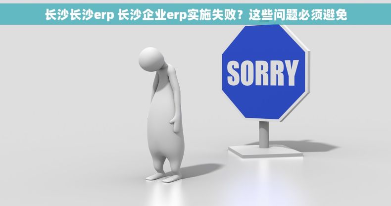 长沙长沙erp 长沙企业erp实施失败？这些问题必须避免
