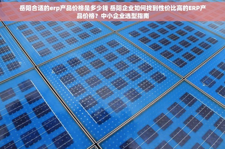 岳阳合适的erp产品价格是多少钱 岳阳企业如何找到性价比高的ERP产品价格？中小企业选型指南