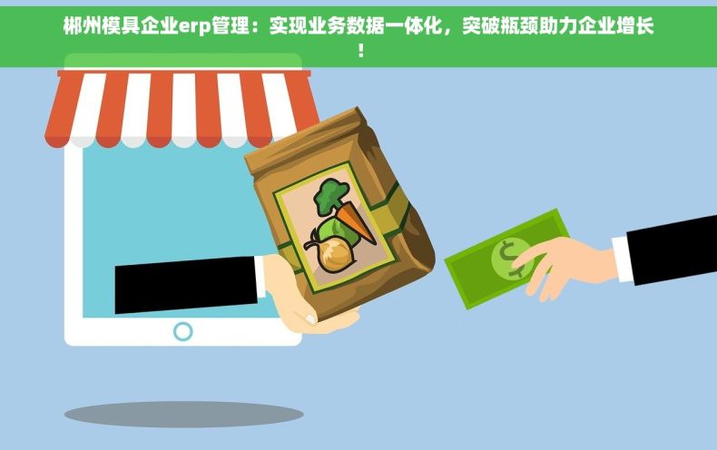 郴州模具企业erp管理：实现业务数据一体化，突破瓶颈助力企业增长！