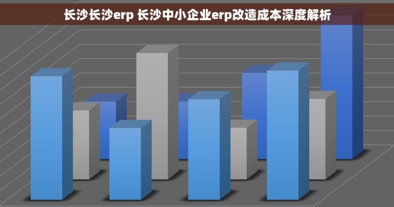 长沙长沙erp 长沙中小企业erp改造成本深度解析