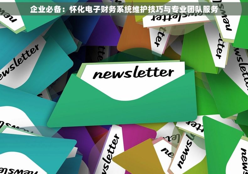 企业必备：怀化电子财务系统维护技巧与专业团队服务
