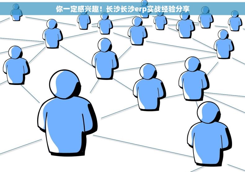 你一定感兴趣！长沙长沙erp实战经验分享