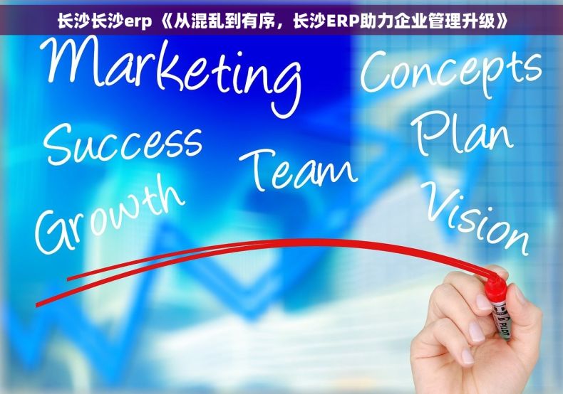 长沙长沙erp 《从混乱到有序，长沙ERP助力企业管理升级》